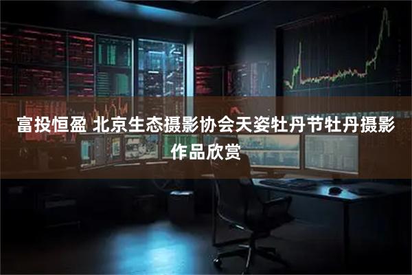 富投恒盈 北京生态摄影协会天姿牡丹节牡丹摄影作品欣赏