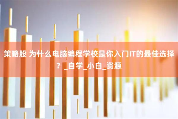 策略股 为什么电脑编程学校是你入门IT的最佳选择？_自学_小白_资源